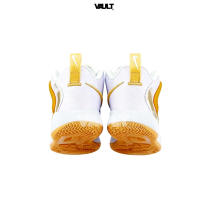 Nike Zoom Court Lite 3